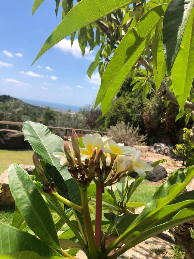 Above The Sea Villa Ein Hod Buitenkant foto