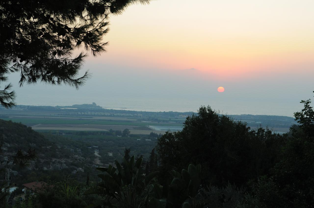 Above The Sea Villa Ein Hod Buitenkant foto