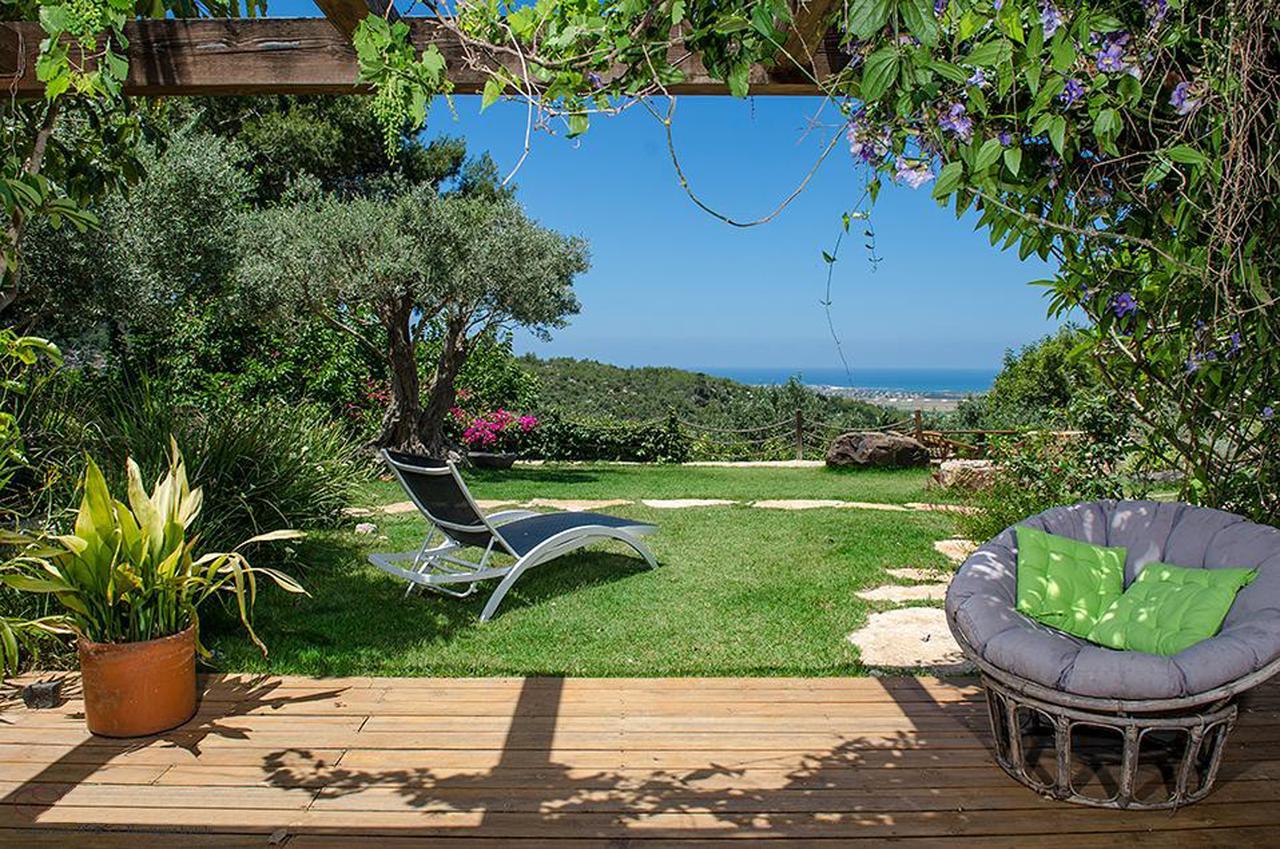 Above The Sea Villa Ein Hod Buitenkant foto