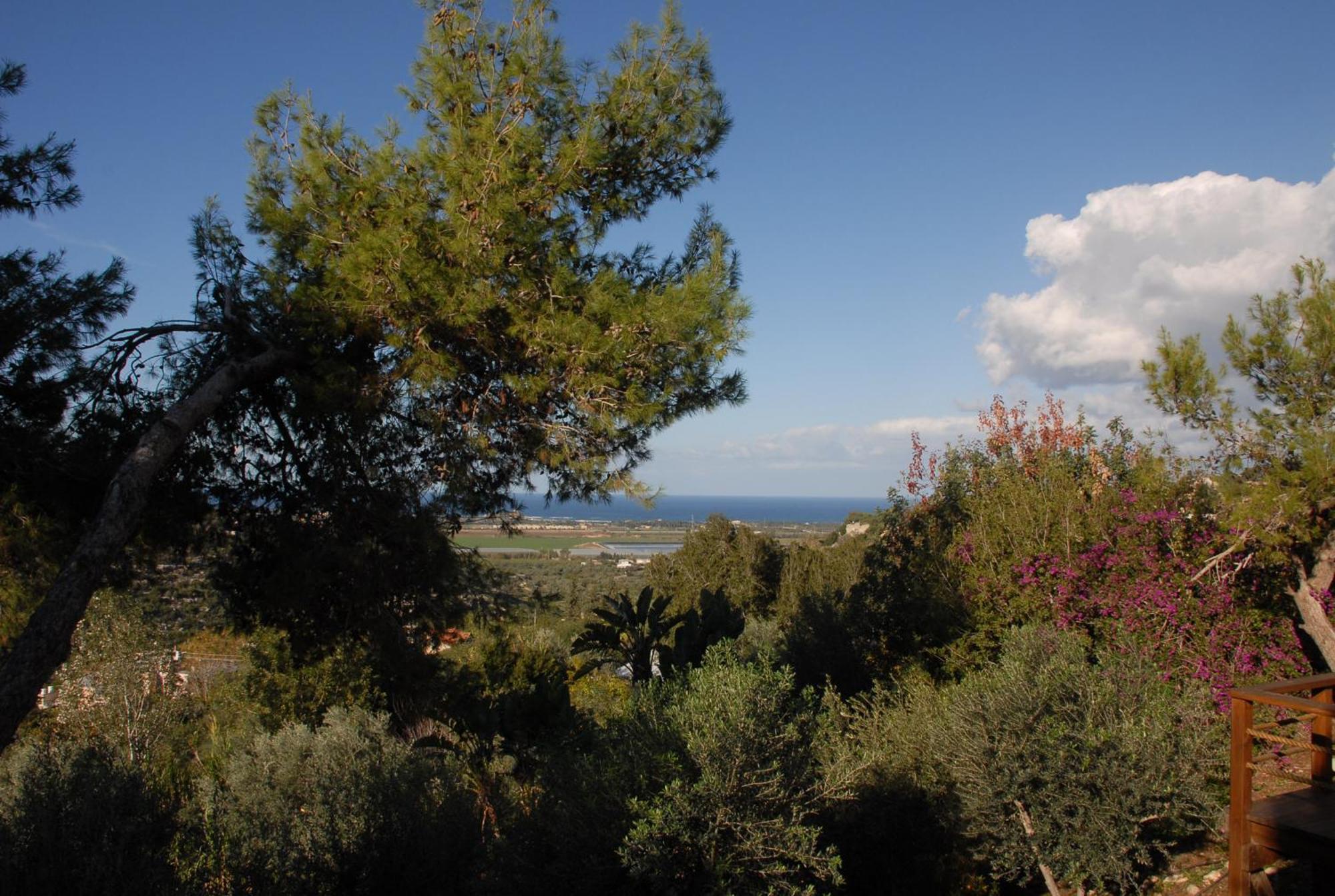 Above The Sea Villa Ein Hod Buitenkant foto