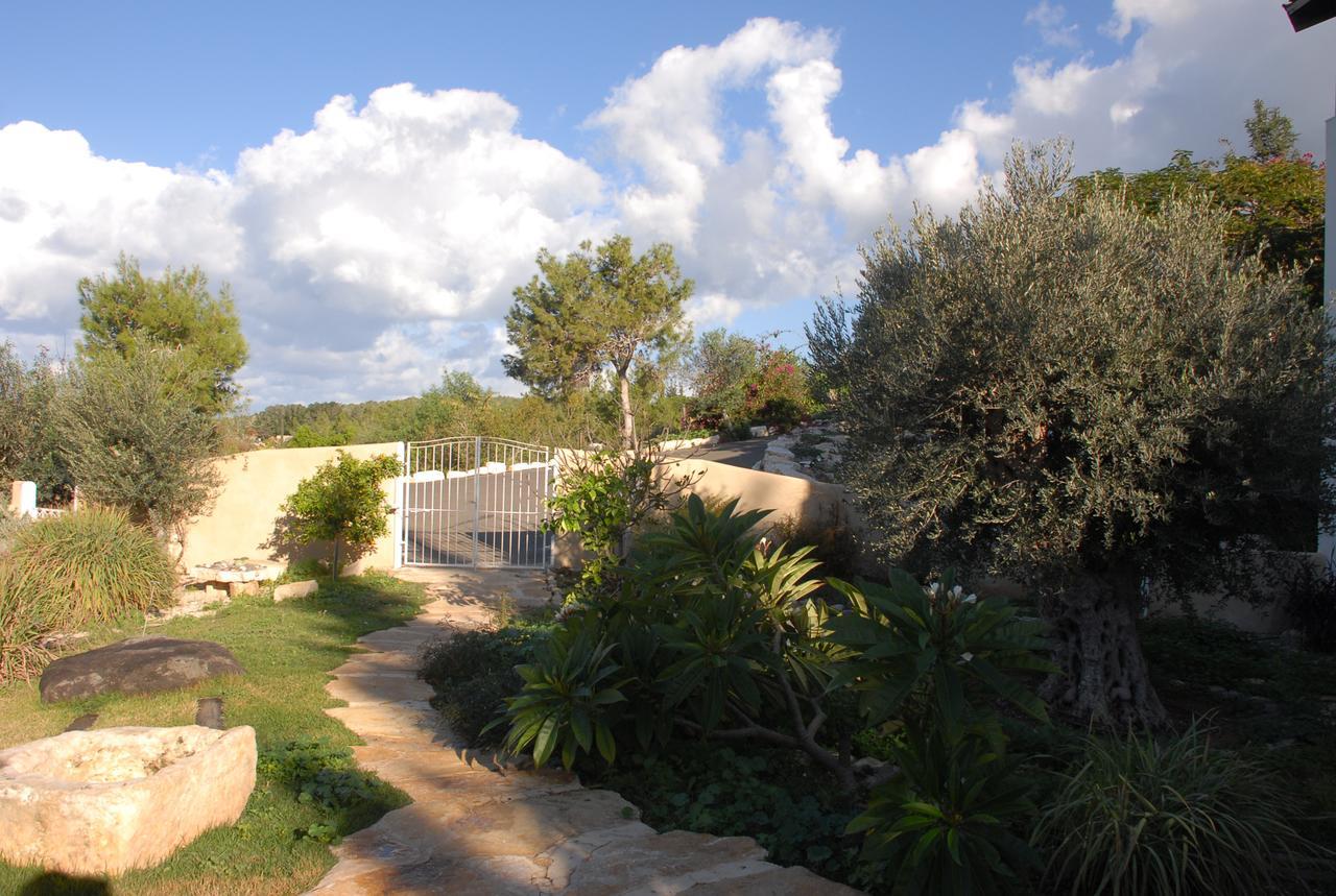 Above The Sea Villa Ein Hod Buitenkant foto